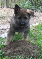 /album/brixie/snimek-090-1-jpg/